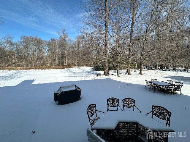 view of snowy yard