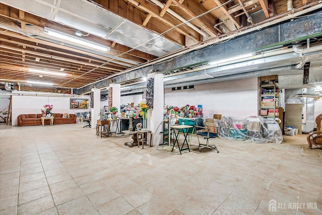 16 Benedek Rd, Princeton, NJ 08540 - view of below grade area
