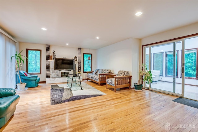 16 Benedek Rd, Princeton, NJ 08540 - living room with light wood finished floors and recessed lighting