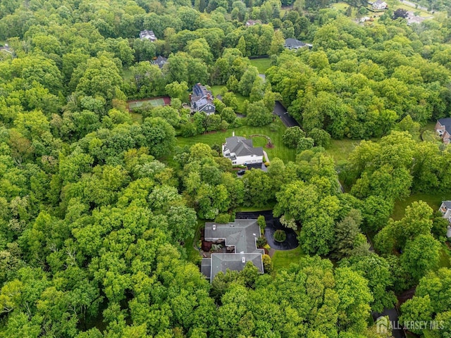 16 Benedek Rd, Princeton, NJ 08540 - drone / aerial view of a heavily wooded area