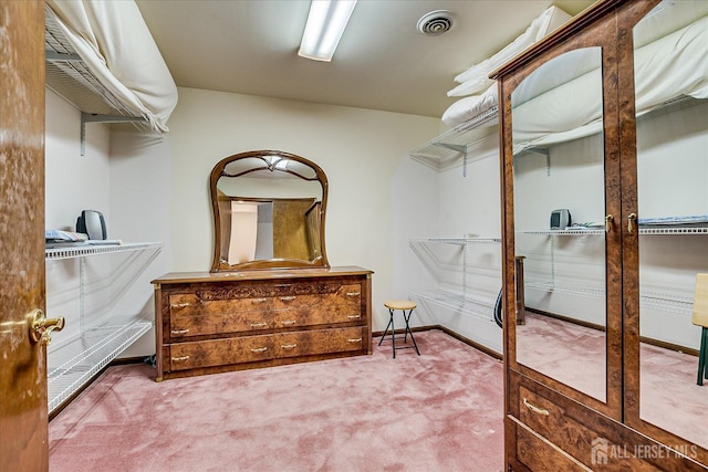 16 Benedek Rd, Princeton, NJ 08540 - spacious closet with carpet and french doors