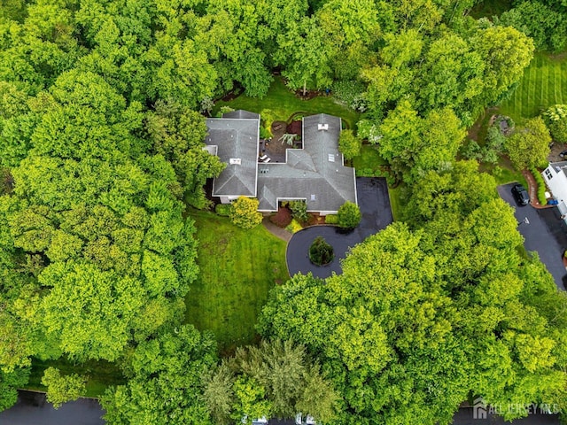 16 Benedek Rd, Princeton, NJ 08540 - drone / aerial view