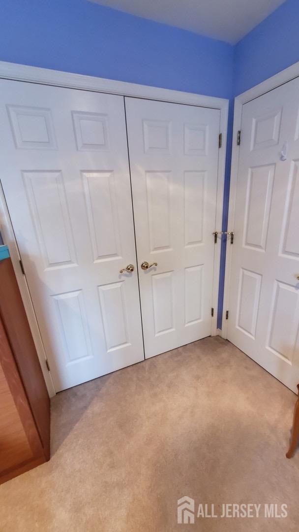 unfurnished bedroom with light colored carpet and a closet