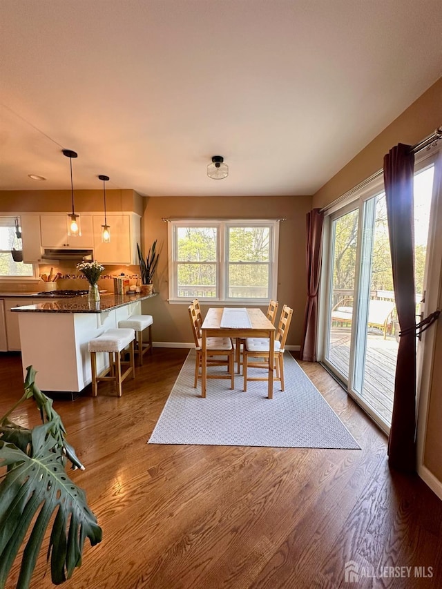 dining space featuring baseboards, a wealth of natural light, and wood finished floors