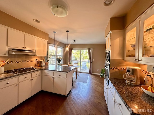 kitchen with a peninsula, stainless steel appliances, under cabinet range hood, and dark wood-style floors