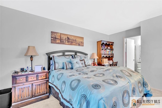 127 Pennsylvania Way N, Brunswick, NJ 08902 - bedroom featuring carpet flooring and ensuite bath
