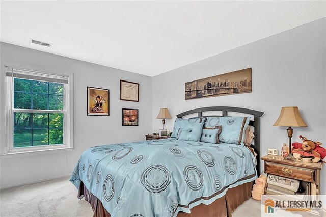 127 Pennsylvania Way N, Brunswick, NJ 08902 - view of carpeted bedroom