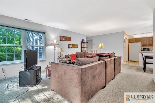 127 Pennsylvania Way N, Brunswick, NJ 08902 - living room with light carpet
