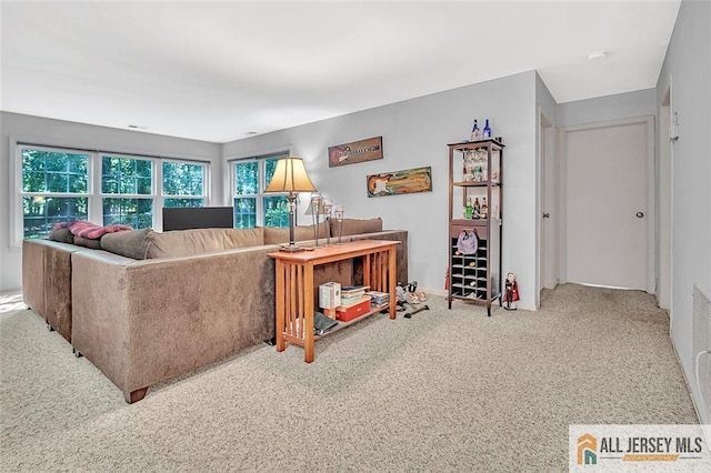127 Pennsylvania Way N, Brunswick, NJ 08902 - living room with carpet