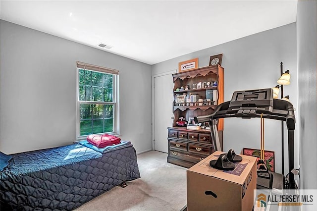 127 Pennsylvania Way N, Brunswick, NJ 08902 - view of carpeted bedroom