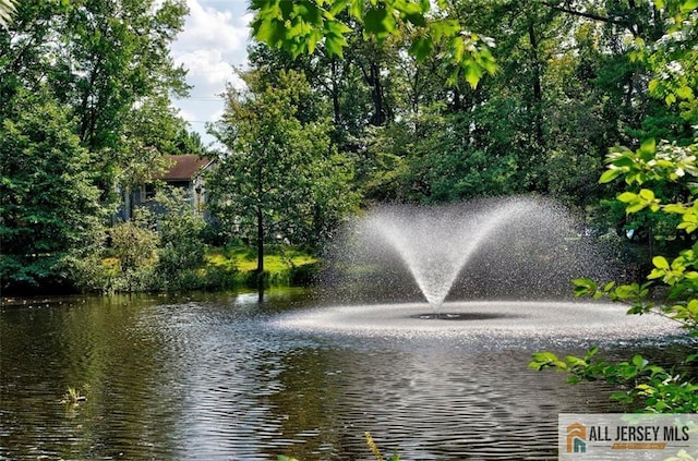 127 Pennsylvania Way N, Brunswick, NJ 08902 - water view