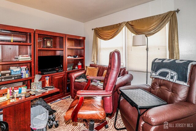 27 Hill Ave, Franklin, NJ 08873 - photo 22