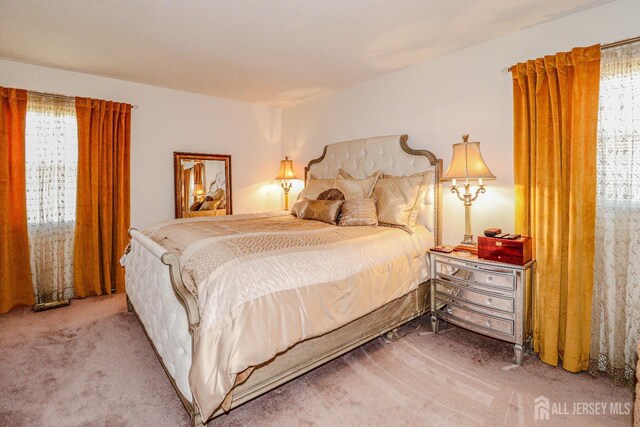 27 Hill Ave, Franklin, NJ 08873 - photo 18