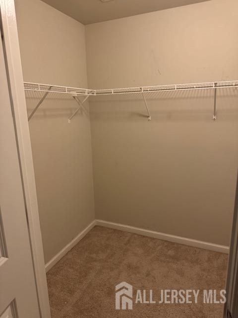 walk in closet featuring carpet flooring