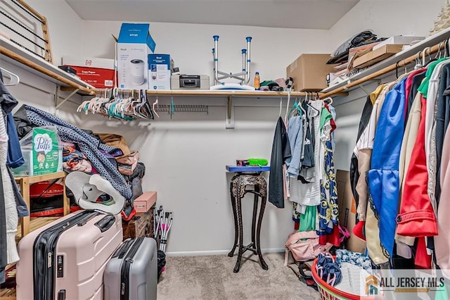 76 Letts Ct Unit 167, Old Bridge, NJ 07747 - spacious closet featuring carpet