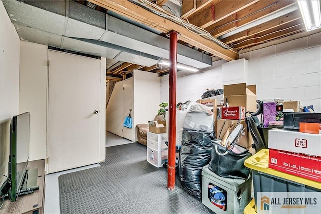 76 Letts Ct Unit 167, Old Bridge, NJ 07747 - unfinished below grade area featuring concrete block wall and carpet