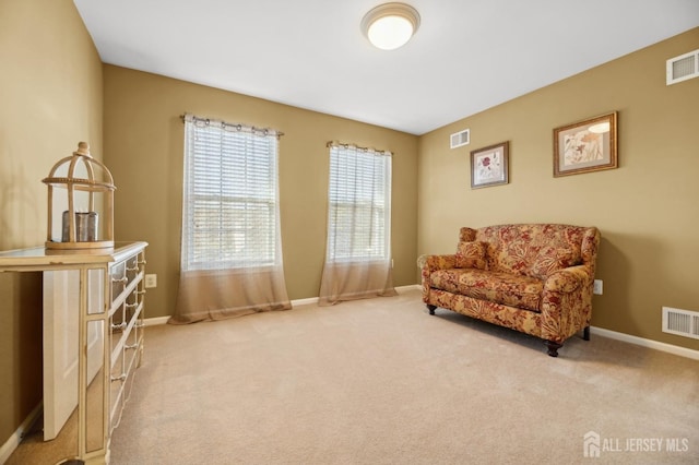 sitting room with carpet floors