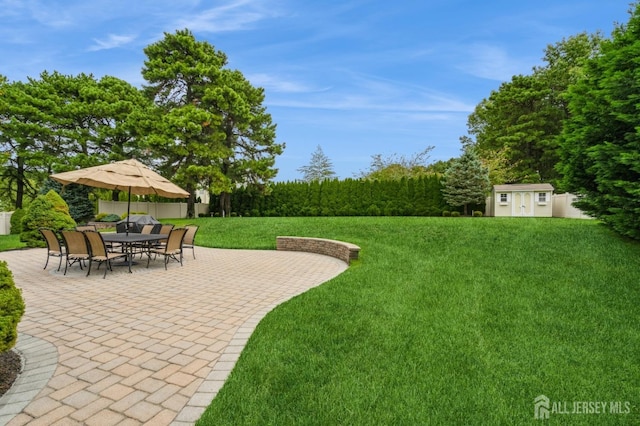 view of yard with a storage shed and a patio