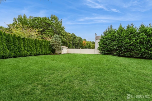 view of yard featuring a shed