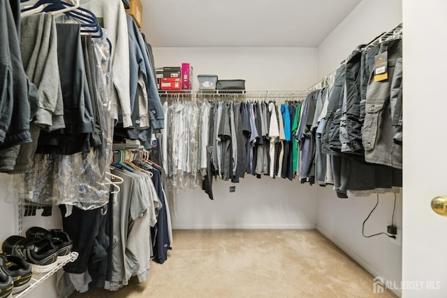 spacious closet featuring carpet floors