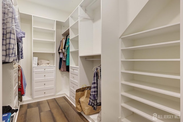 21 Cole Pl, Cranbury, NJ 08512 - walk in closet featuring dark wood-style flooring