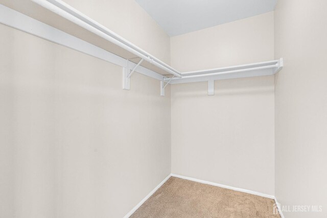 1606 Madaline Dr, Avenel, NJ 07001 - photo 25