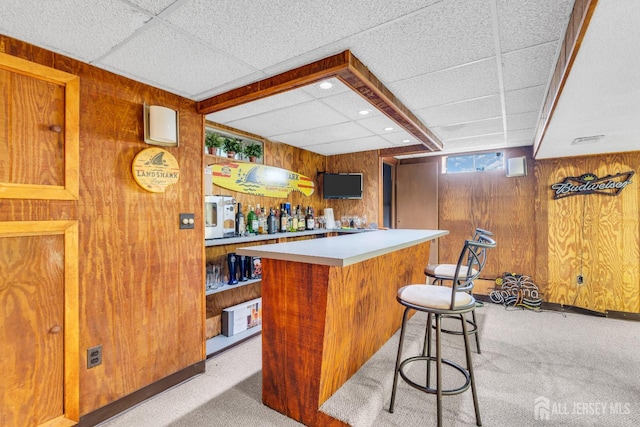 19 Ellen Cir, Old Bridge, NJ 08857 - indoor bar with light carpet, wooden walls, and a paneled ceiling