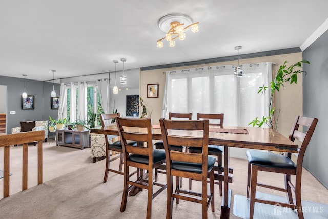 19 Ellen Cir, Old Bridge, NJ 08857 - photo 8