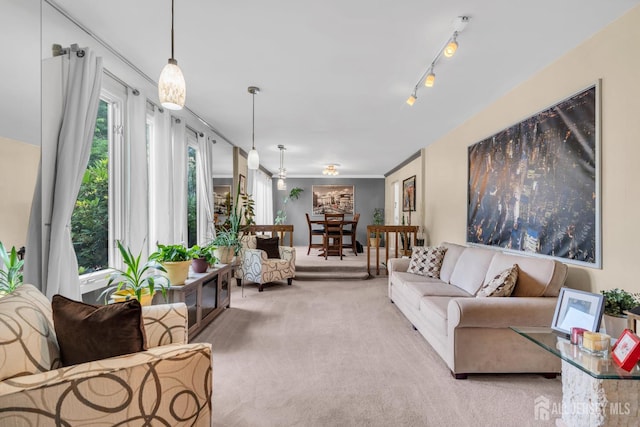 19 Ellen Cir, Old Bridge, NJ 08857 - living room with light carpet
