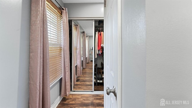 corridor with dark hardwood / wood-style flooring