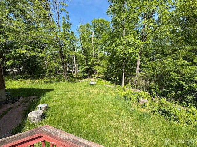 77 S Powder Mill Rd S, Morris Plains, NJ 07950 - photo 23