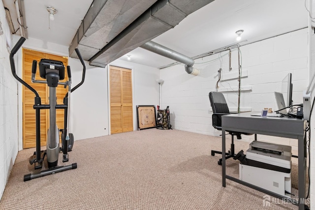 interior space featuring concrete block wall and carpet