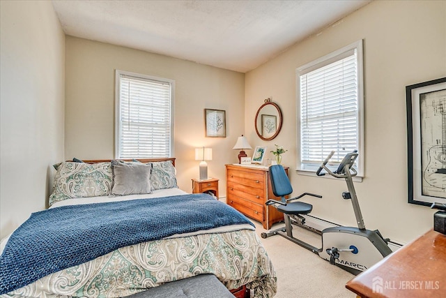 bedroom with carpet floors