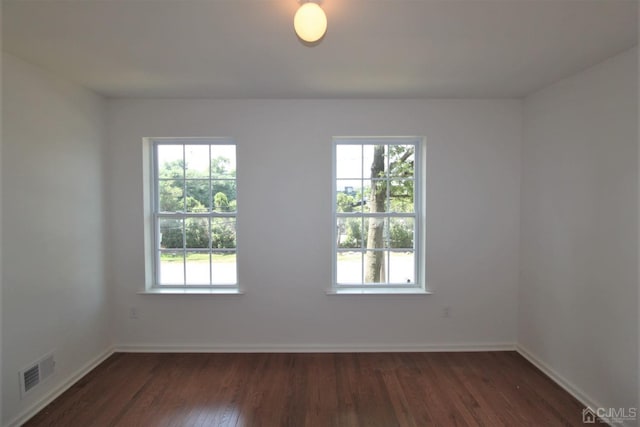 spare room featuring plenty of natural light and dark wood-type flooring