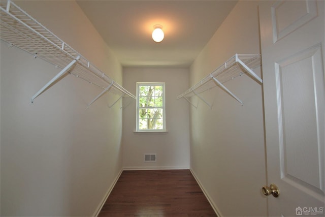 spacious closet with dark wood-type flooring