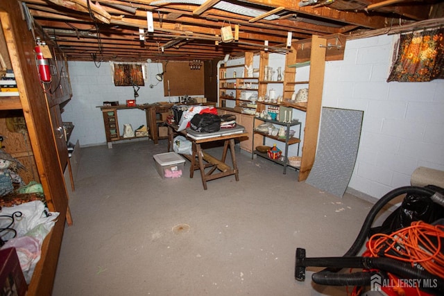 282 Bridgepoint Rd, Montgomery, NJ 08502 - unfinished below grade area with concrete block wall