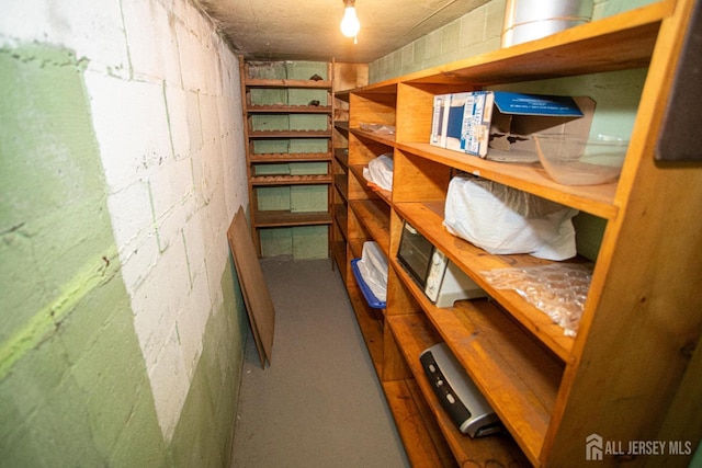 282 Bridgepoint Rd, Montgomery, NJ 08502 - view of storage