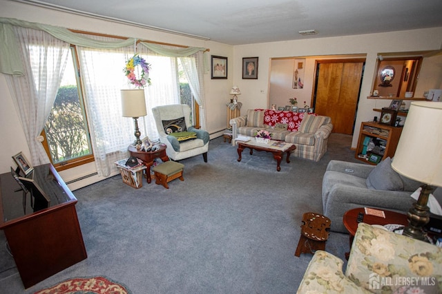 282 Bridgepoint Rd, Montgomery, NJ 08502 - living room featuring carpet flooring and a baseboard radiator