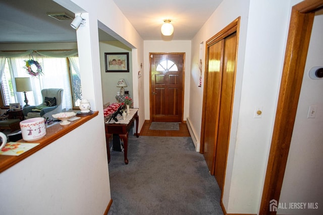 282 Bridgepoint Rd, Montgomery, NJ 08502 - view of carpeted entryway