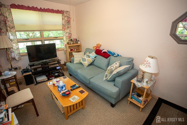 282 Bridgepoint Rd, Montgomery, NJ 08502 - living area featuring carpet