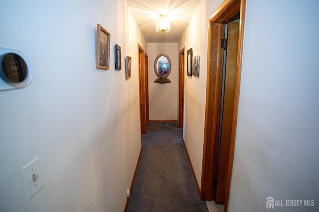 282 Bridgepoint Rd, Montgomery, NJ 08502 - hallway featuring dark colored carpet