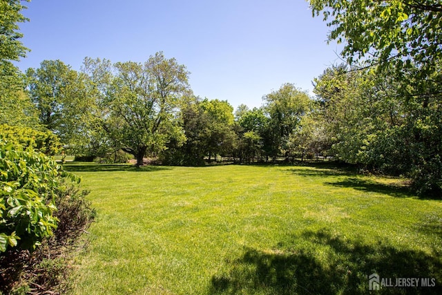 282 Bridgepoint Rd, Montgomery, NJ 08502 - view of green lawn