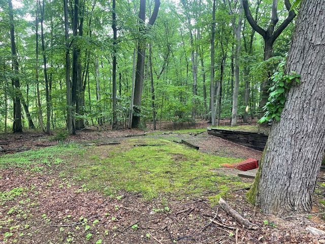35 Woodward Rd, Manalapan, NJ 07726 - photo 9