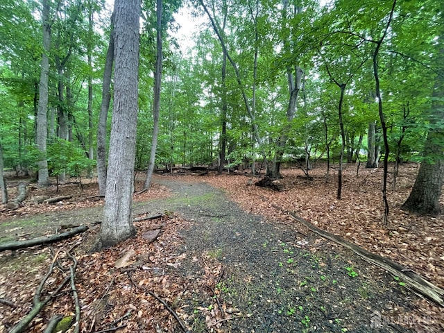 35 Woodward Rd, Manalapan, NJ 07726 - photo 30
