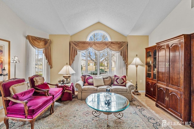 47 Birmingham Ln, Monroe, NJ 08831 - living area with lofted ceiling, light wood-style flooring, and a textured ceiling
