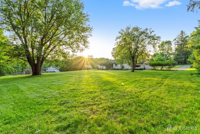 4 Hickory Trl, Flemington, NJ 08822 - view of green lawn