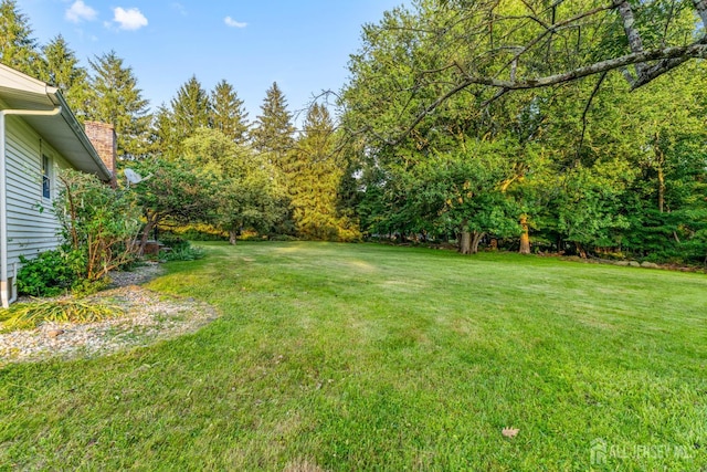 4 Hickory Trl, Flemington, NJ 08822 - view of green lawn