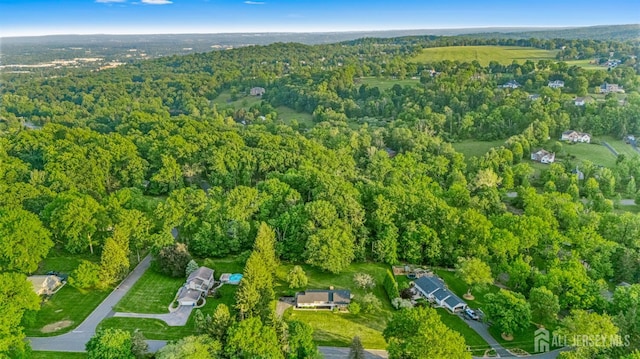 4 Hickory Trl, Flemington, NJ 08822 - aerial overview of property's location featuring a forest