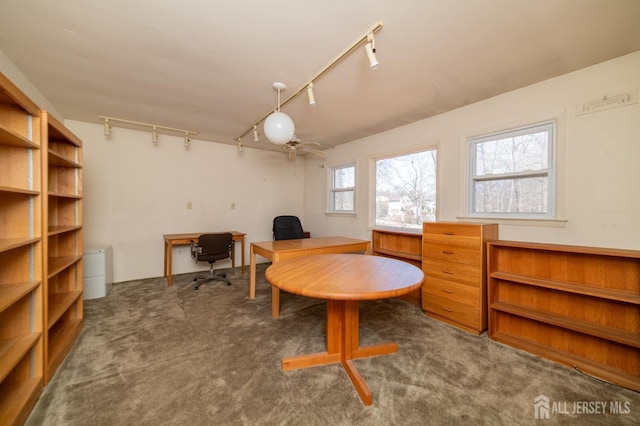 office space featuring carpet flooring and rail lighting