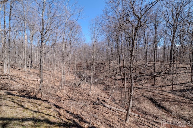 view of nature